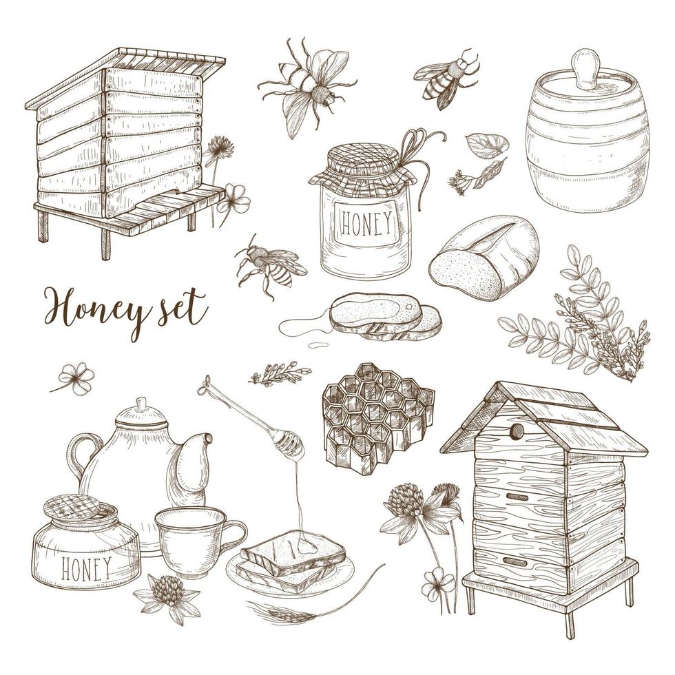 Honey production, beekeeping or apiculture set - honeycomb, man-made beehives, wooden dipper, bees, teapot hand drawn in retro style on white background. Monochrome vector illustration.