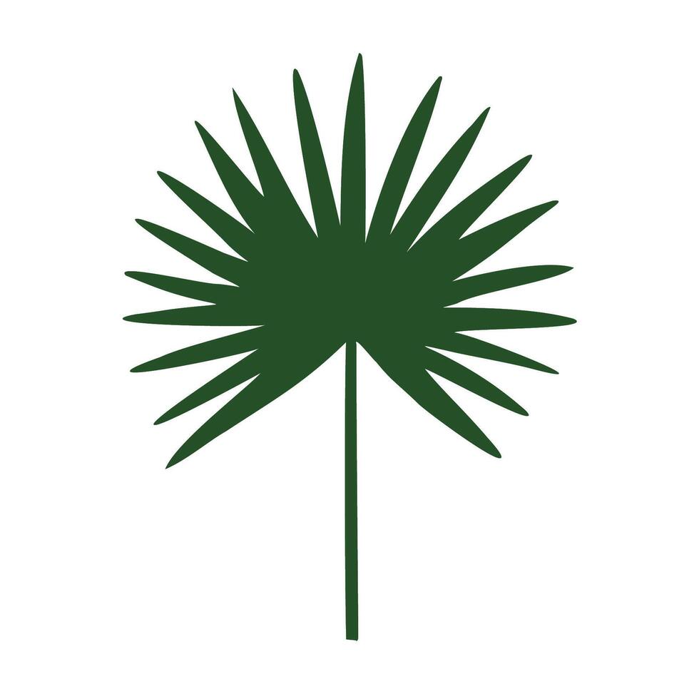 Tropical vector silhouette of palm leaf illustration on isolated background. Beautiful botanical hand painted exotic element. For designers, spa decoration, postcards, wedding, greetings, wallpapers