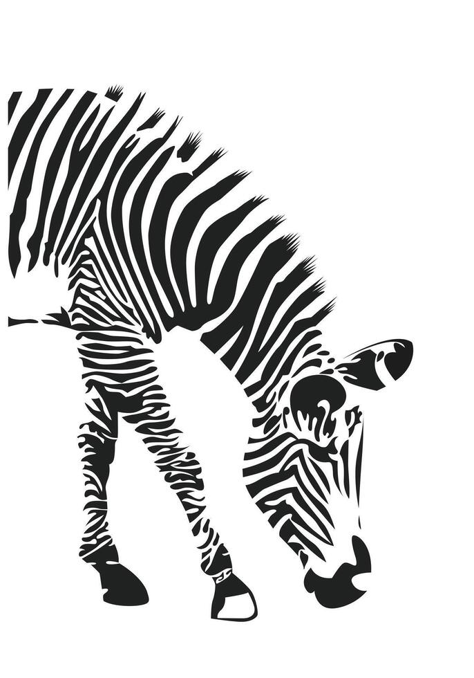 Zebra pattern shape vector in black white for background design.