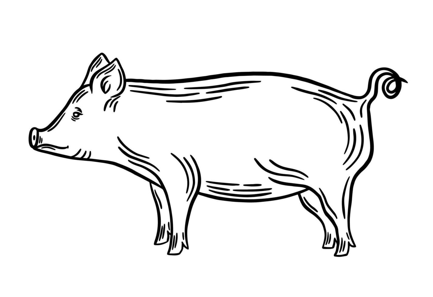 Pig black outline vector illustration. Pork line art, engraving, silhouette