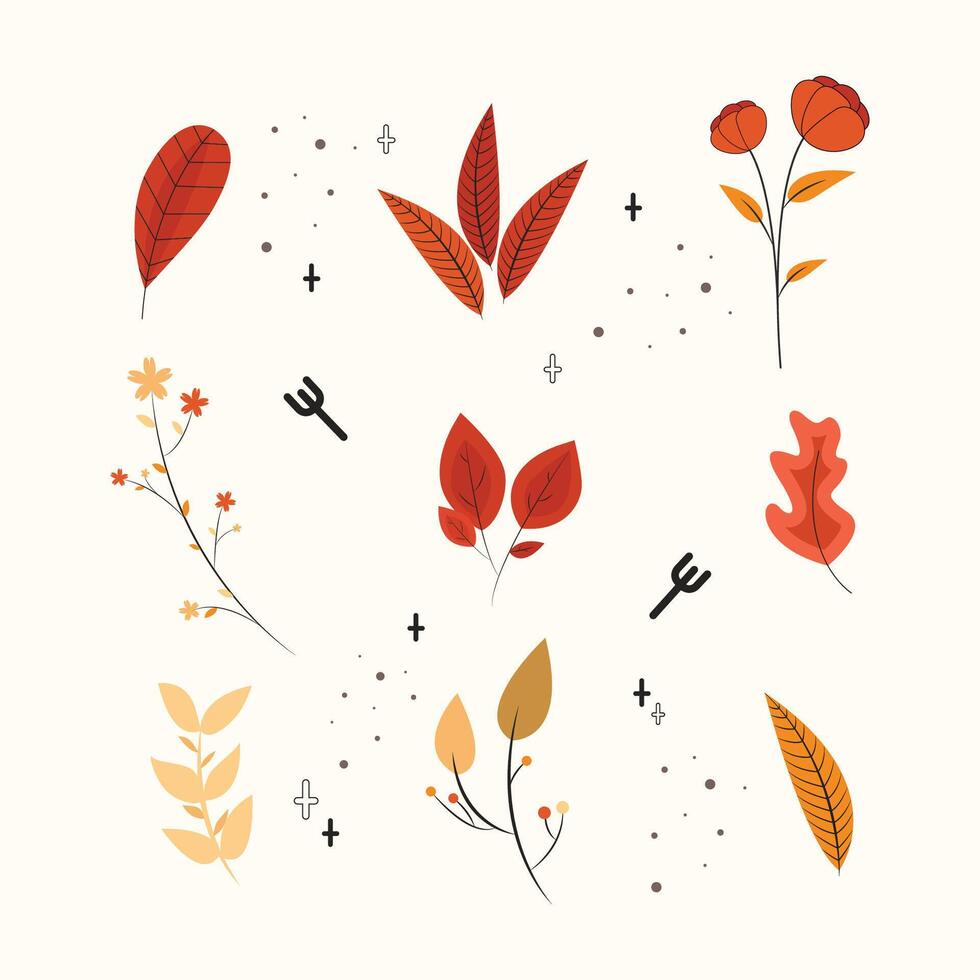 Set of botanic element vector background
