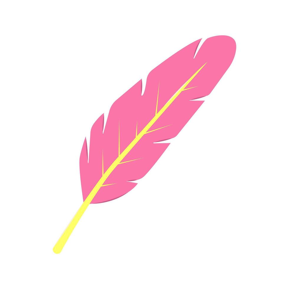 Decorative element pink feather. Vector illustration