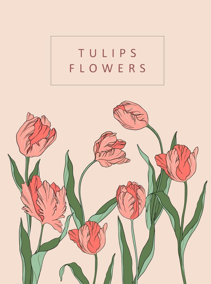 En Vivo vector ilustración tulipanes silueta contorno pétalos hojas verano primavera botánica clipart De las mujeres día, de madre, Boda invitación, plantilla, saludo tarjeta, floral diseño, flores, plantas