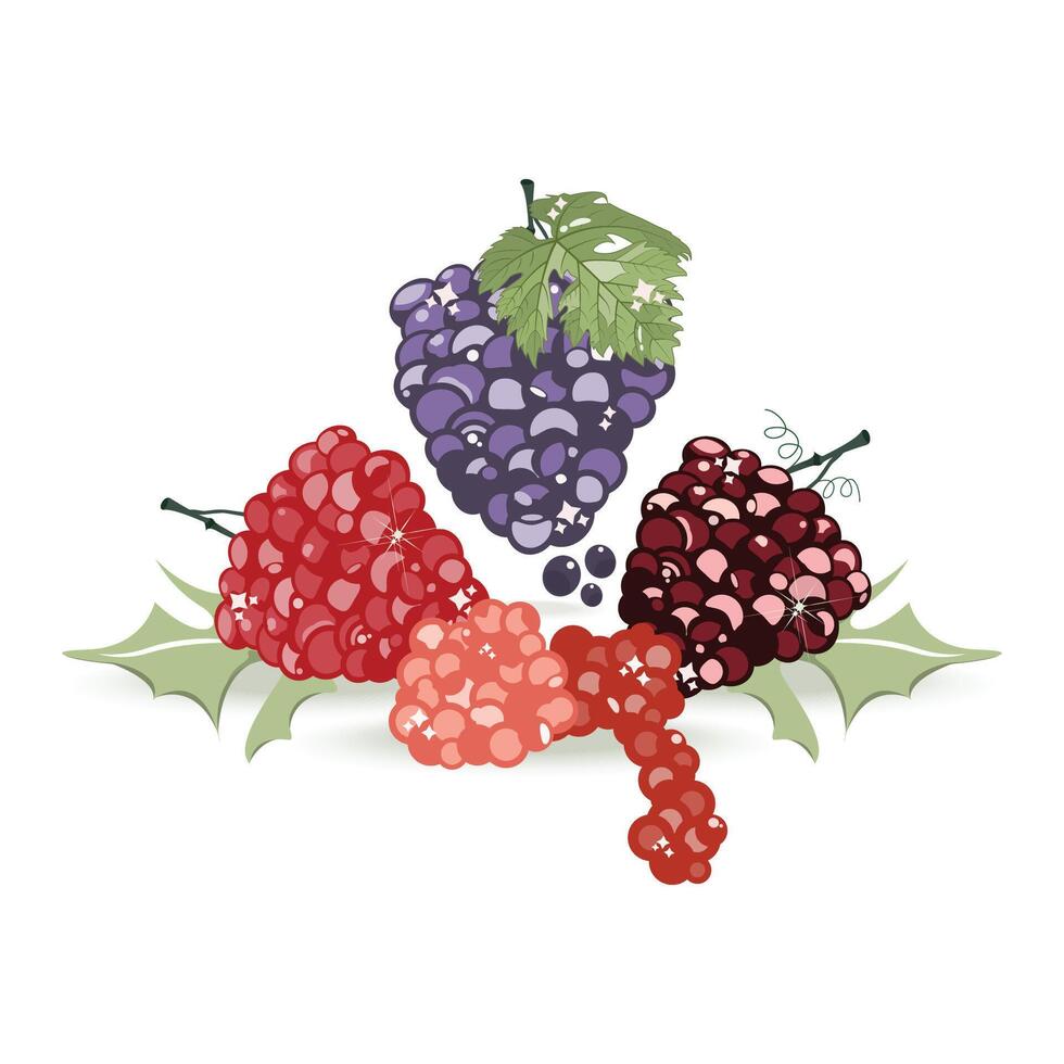 Grapes isolated vector design background