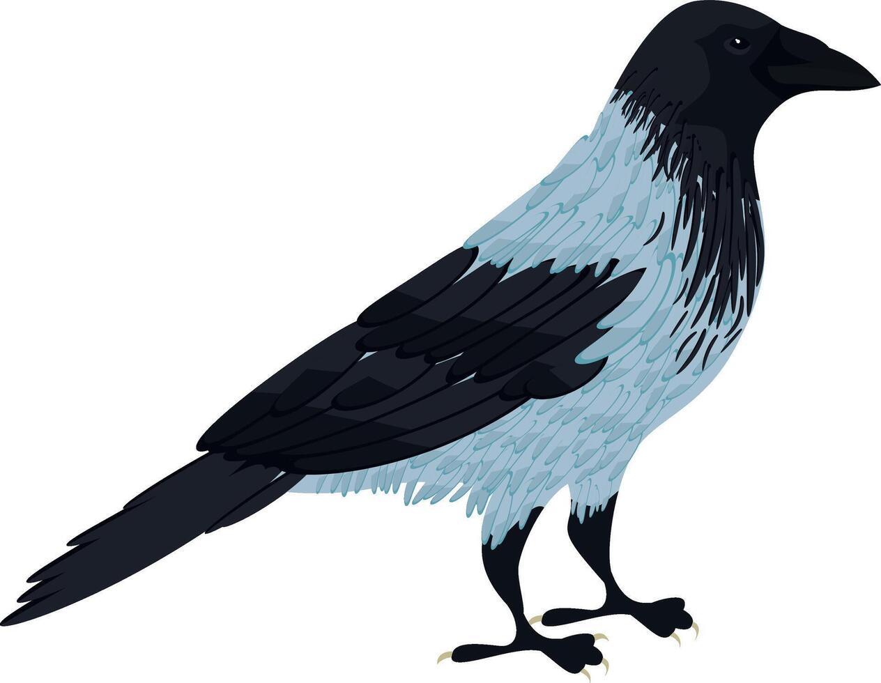 Hooded crow vector isolated illustration of bird