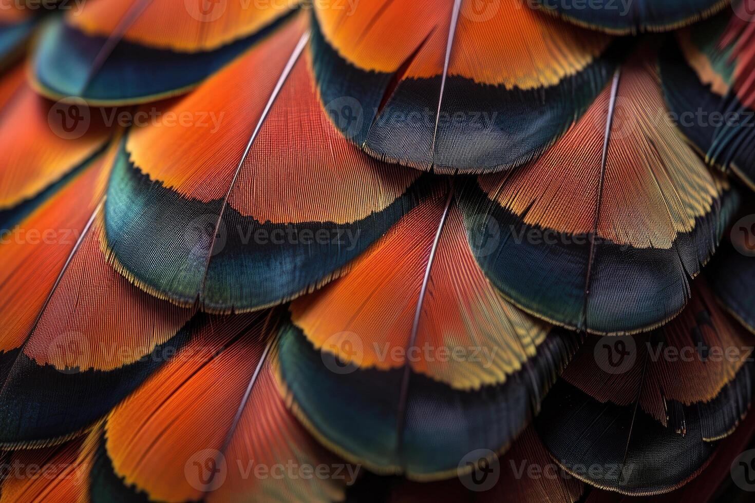 AI generated Closeup abstract background image of colorful ring-necked pheasant feathers. photo