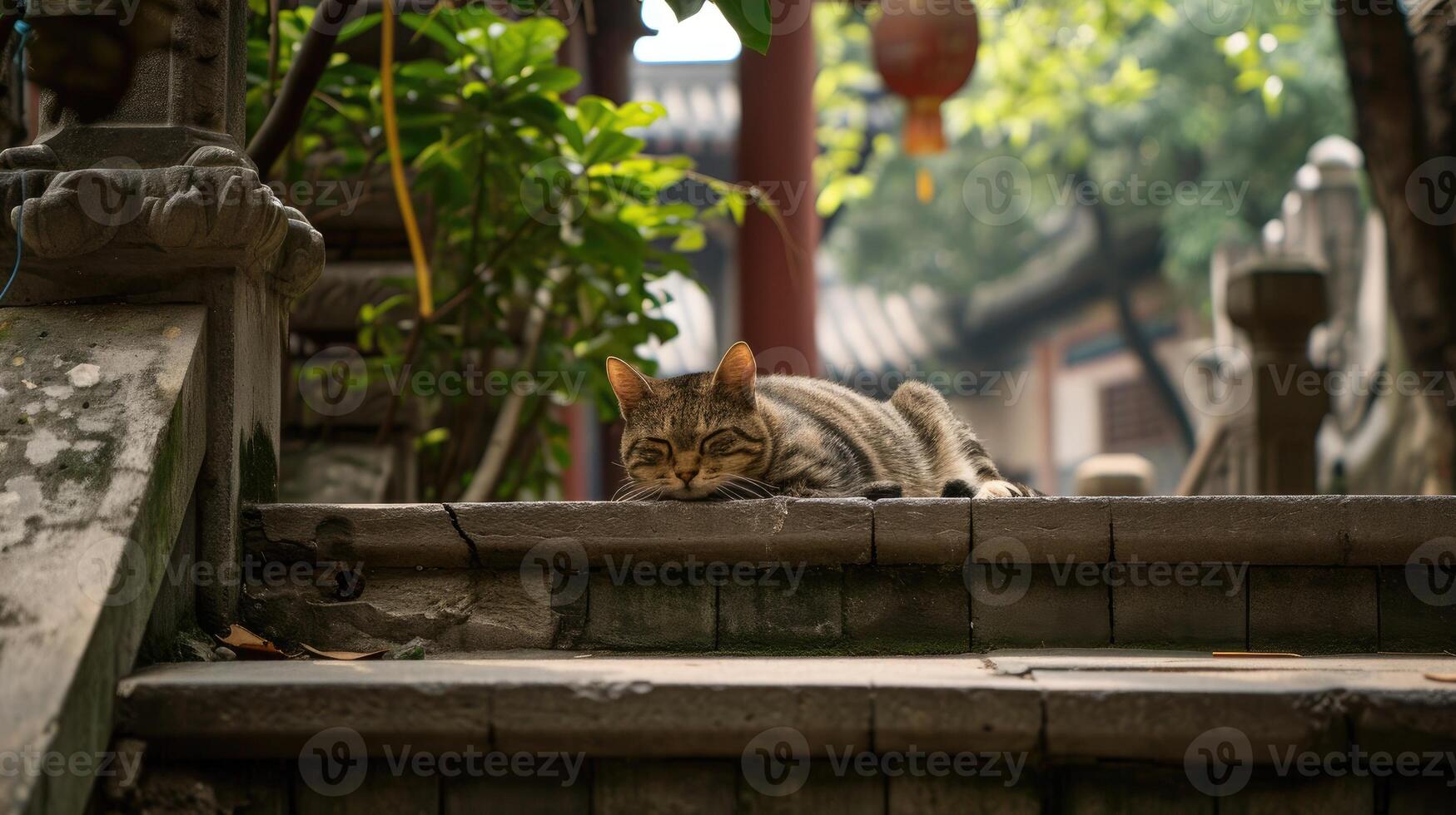 ai generado gato relajante en escalera con un árbol detrás él, en el estilo de budista Arte y arquitectura. foto