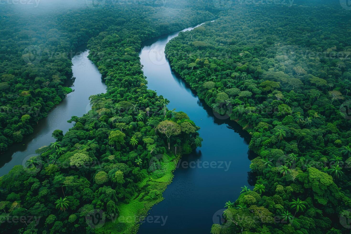 AI generated Amazonian lush rain forest jungle. Save the planet concept. photo