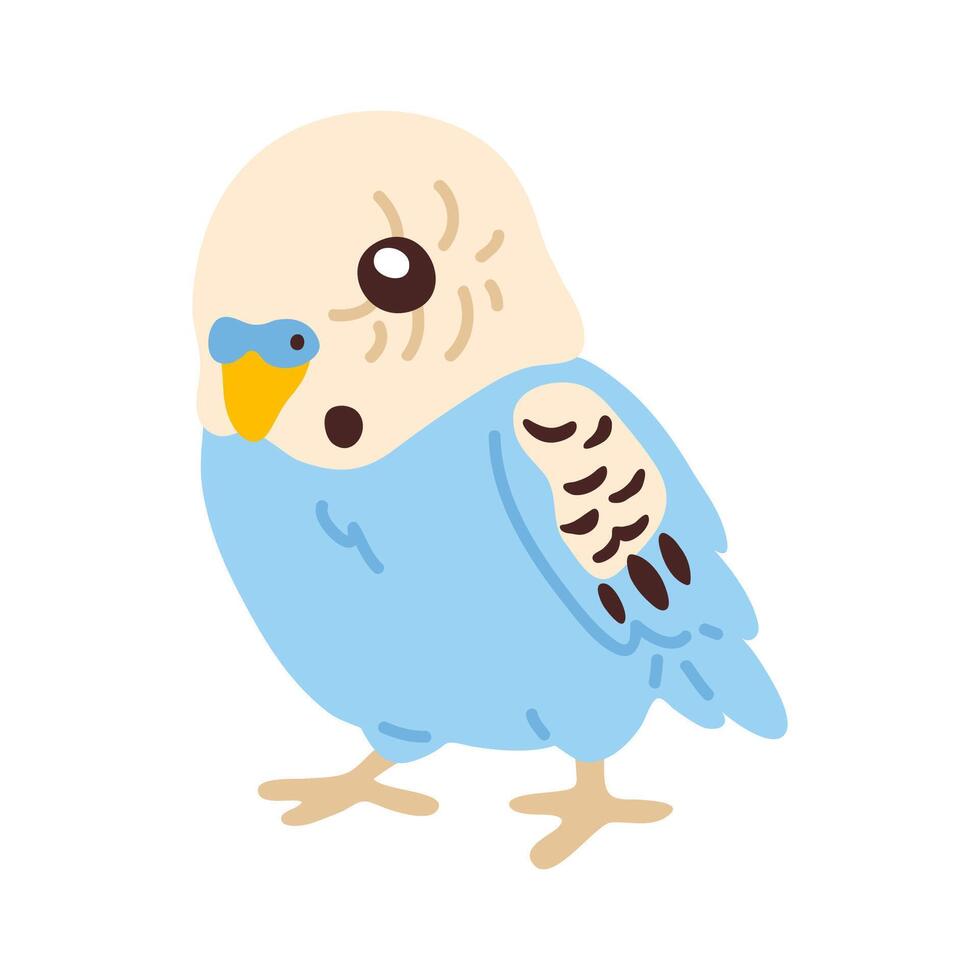 doodle sky budgerigar vector