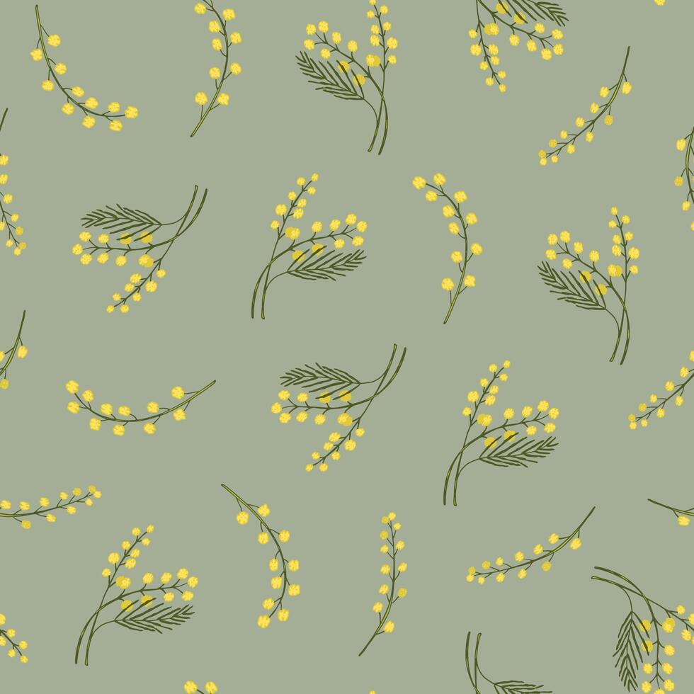Mimosa branch flower vector seamless pattern.