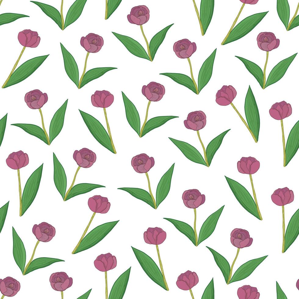 Tulip flowers vector seamless pattern.
