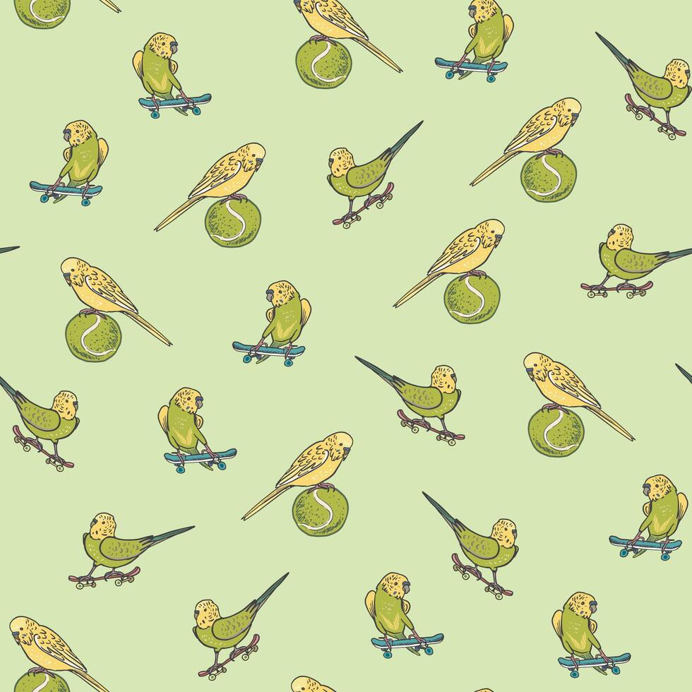 Parrots birds pets vector seamless pattern.