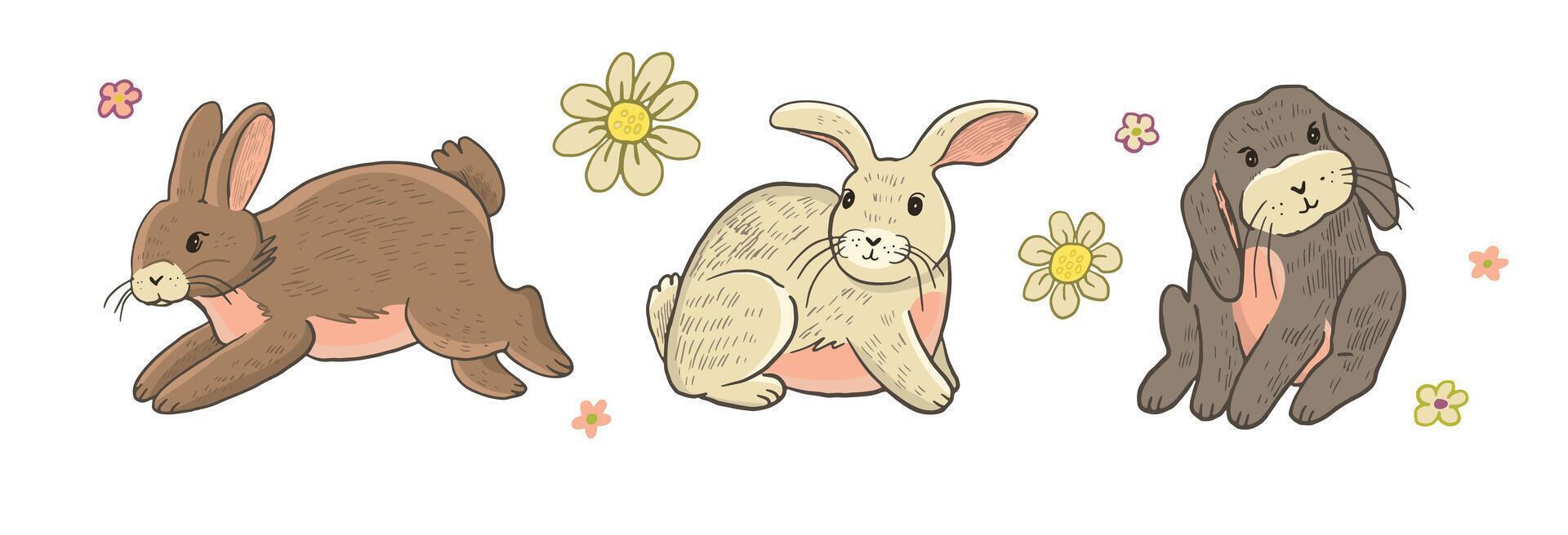 Easter rabbit with spring flowers vector illustrations set.