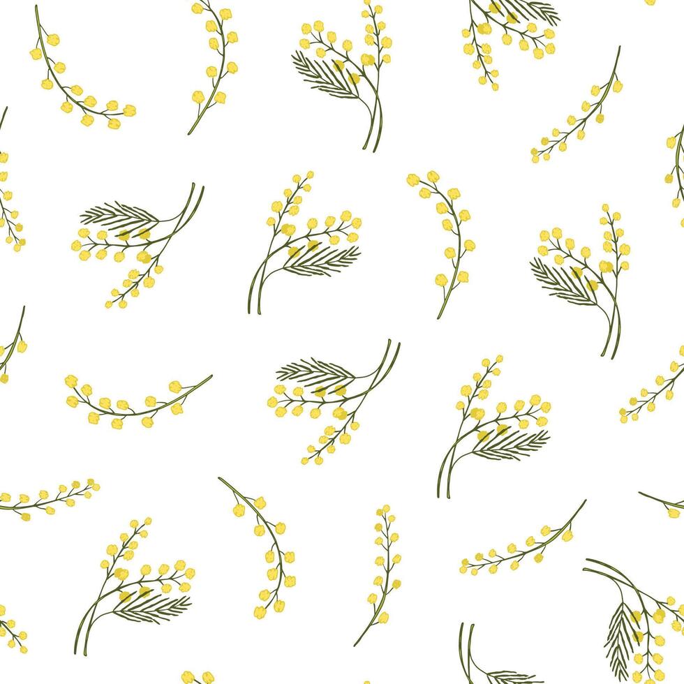Mimosa branch flower vector seamless pattern.