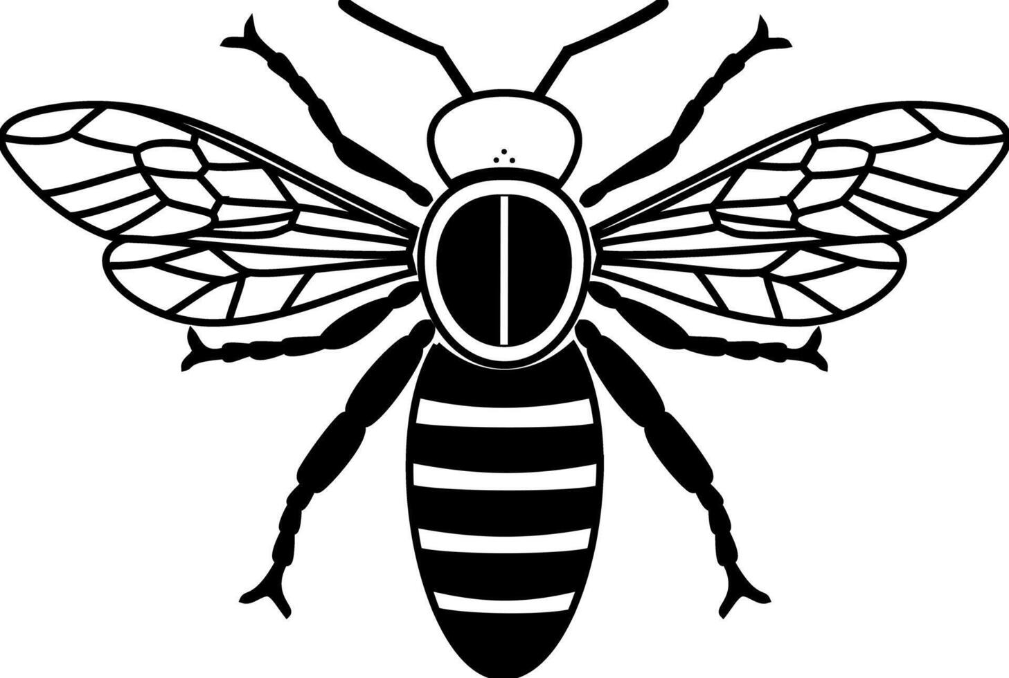 abeja ilustración silueta. negro y blanco. vector