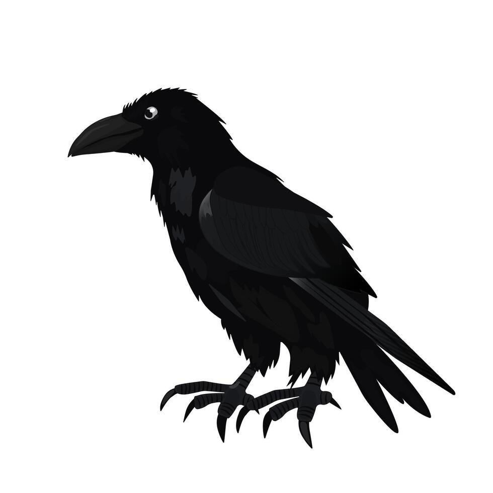 black raven on a white background in cartoon style vector