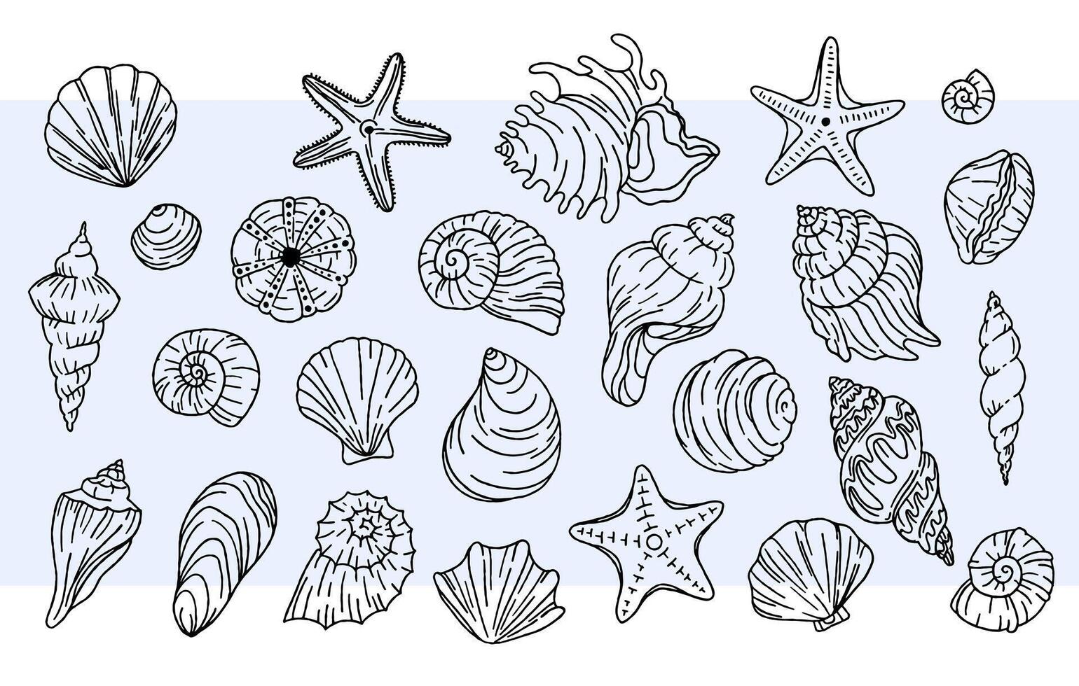 Seashells vector set. Linear black and white illustrations. Doodle. Vector graphics for textile print, paper