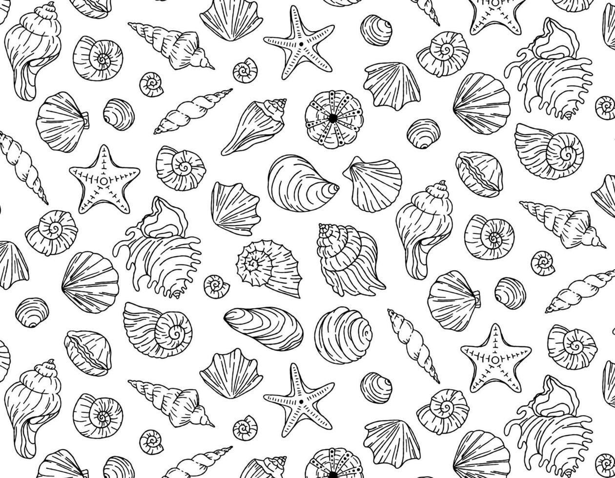 Sea shells black and white seamless vector background. Vector graphics for textile print, paper