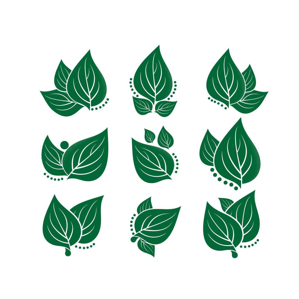 Green leaves collection set elemenets vector