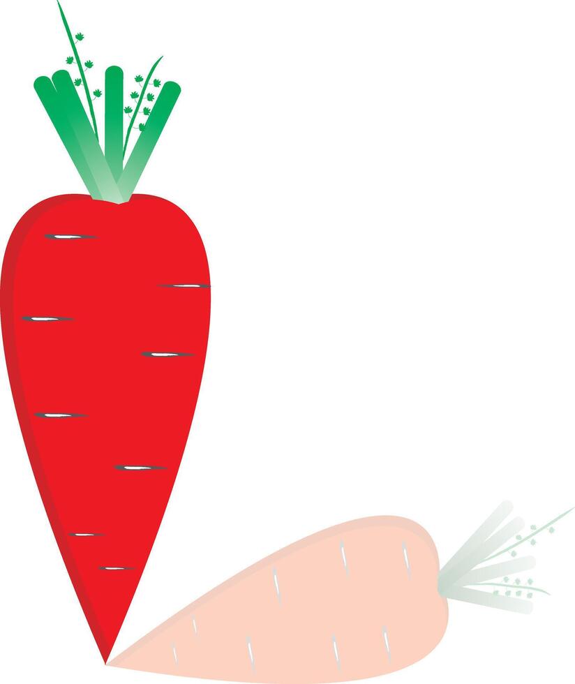 Zanahoria vegetal diseño vector