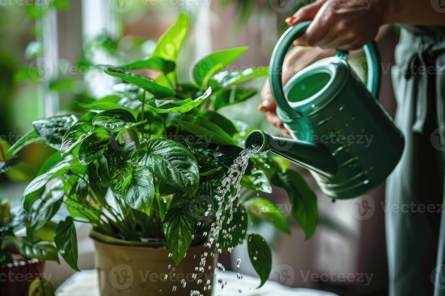 AI generated Woman's hands watering plant with watering can in flower pot at home. Indoor gardening. Caring for houseplant home. photo