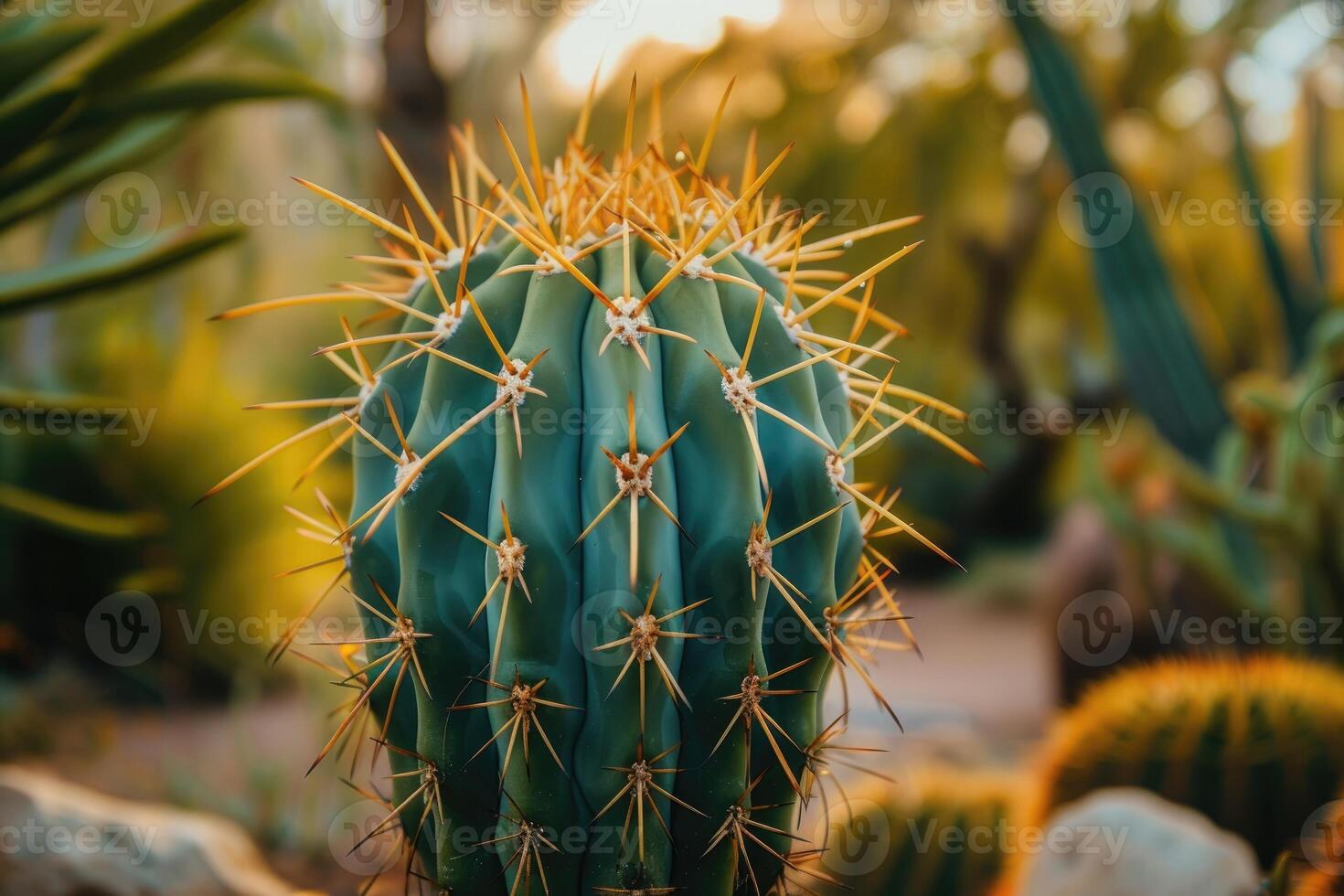 ai generado selectivo atención Disparo de un cactus con grande Picos. foto