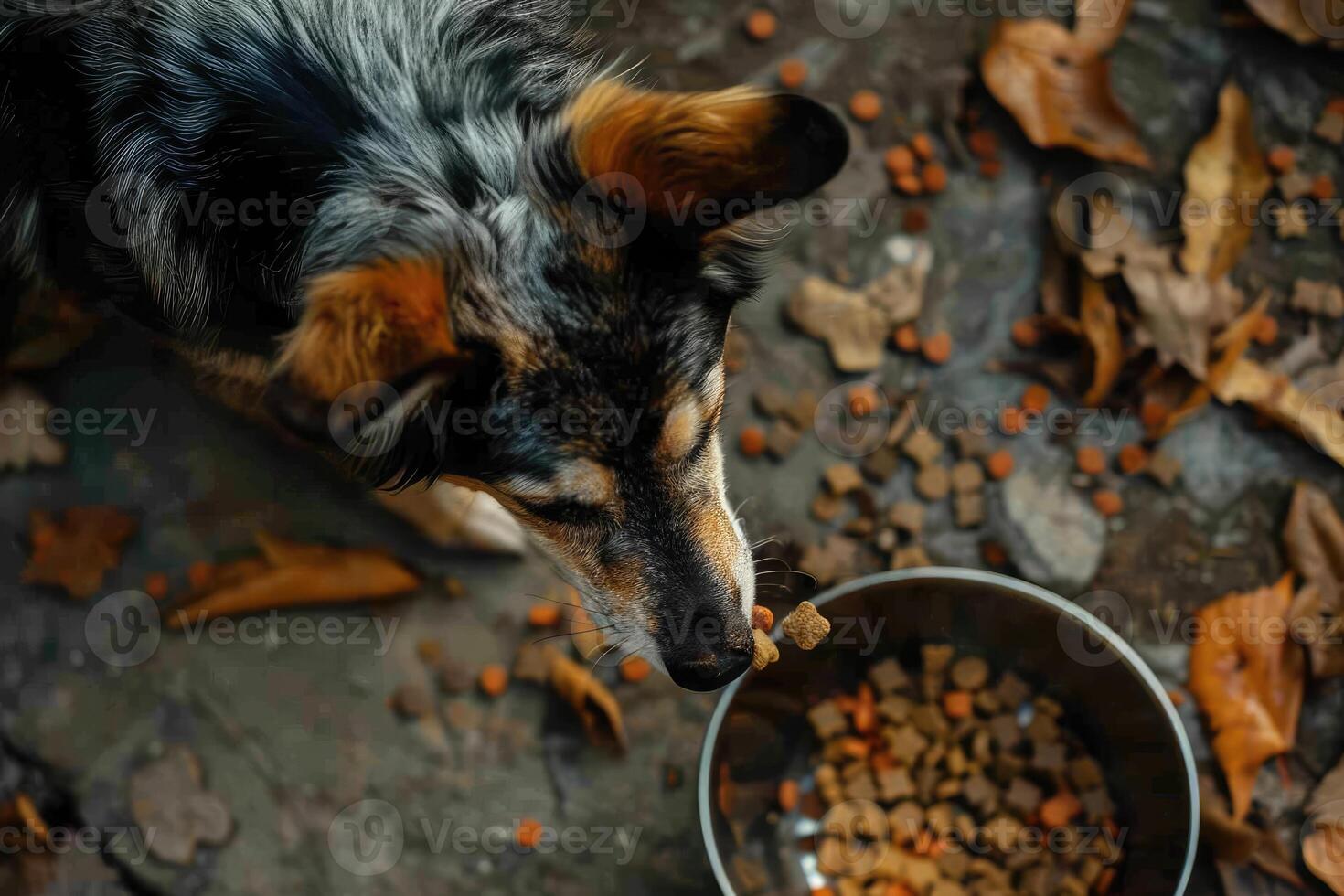 AI generated View of dog eating food from a bowl. photo