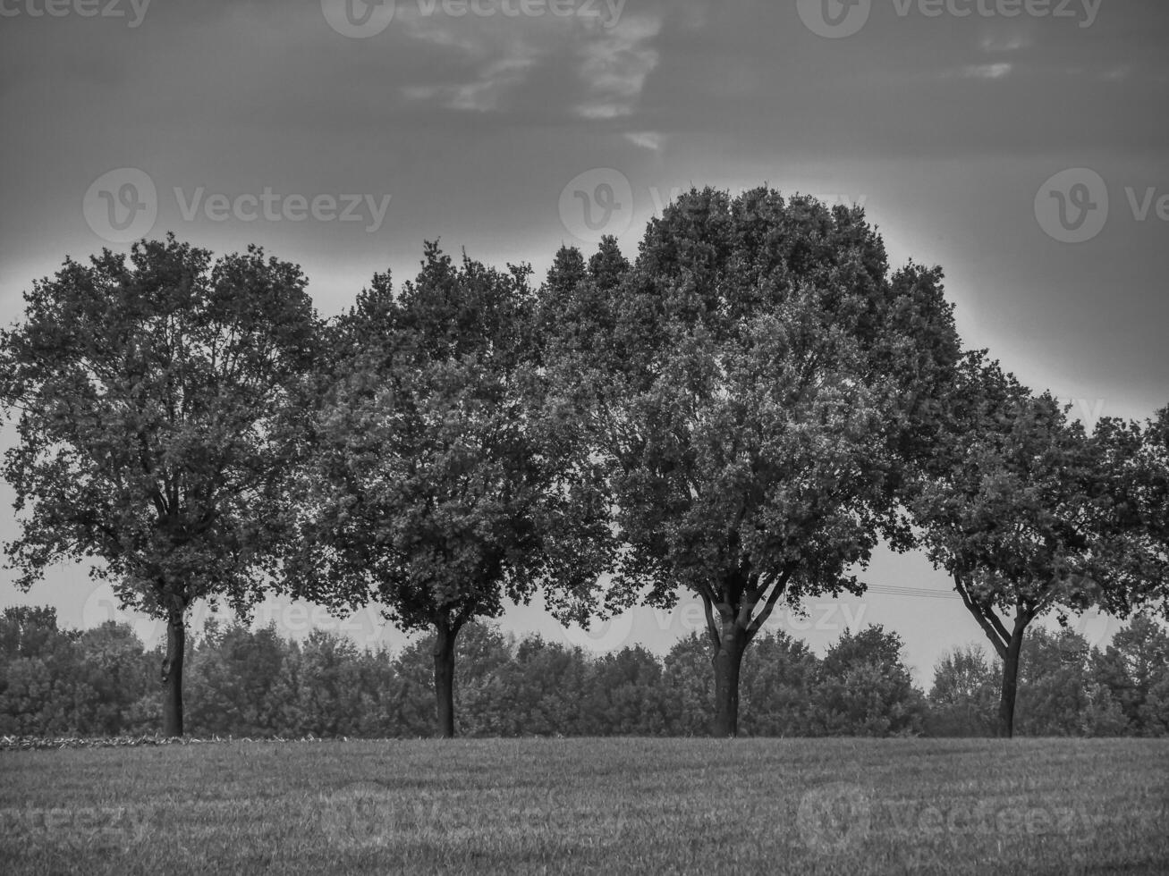 the german muensterland photo