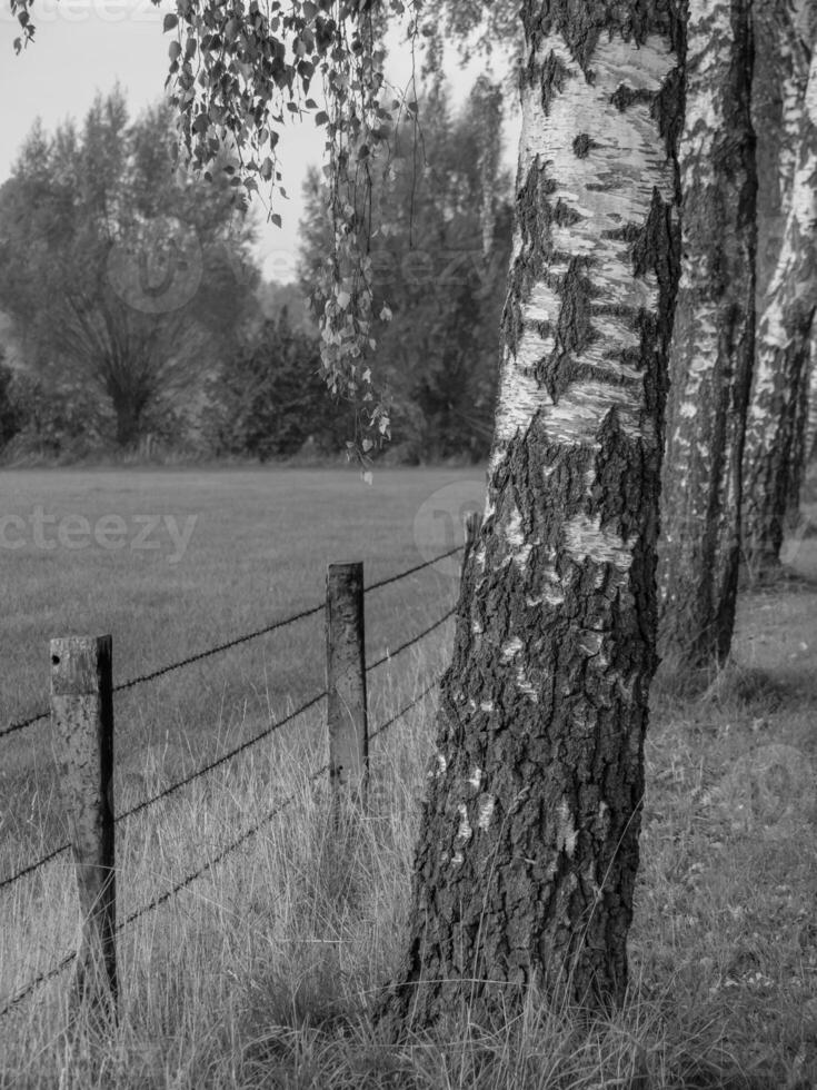 el muensterland alemán foto