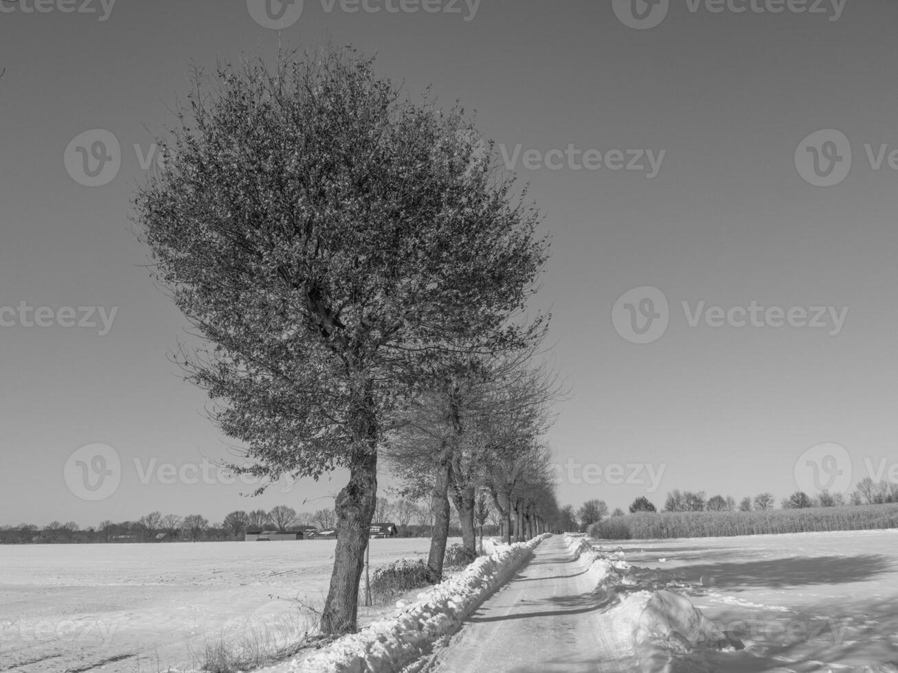 the german muensterland photo