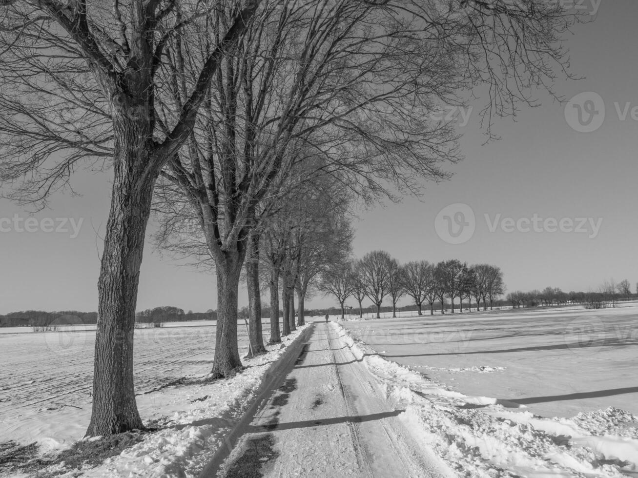 the german muensterland photo