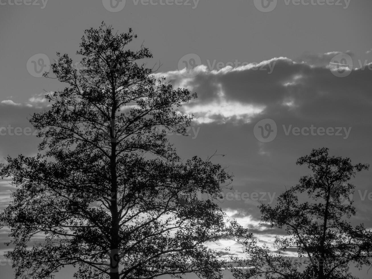 the german muensterland photo