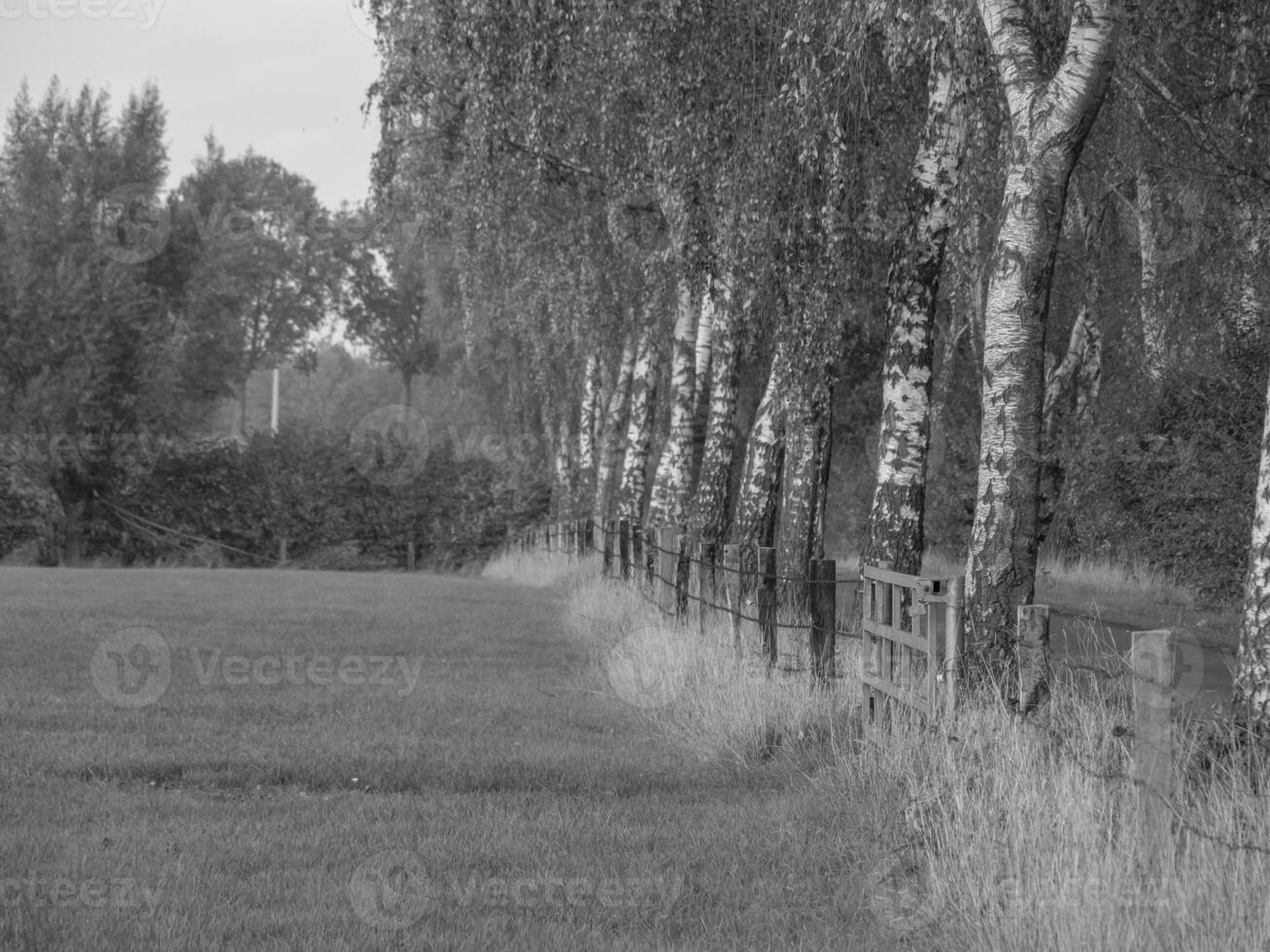 the german muensterland photo