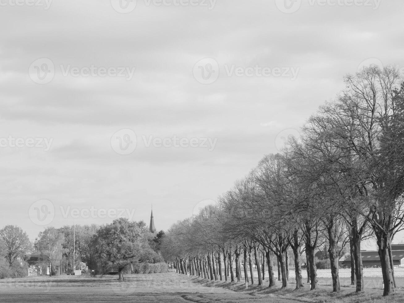 the german muensterland photo