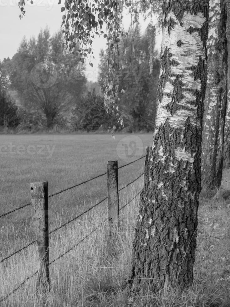 the german muensterland photo