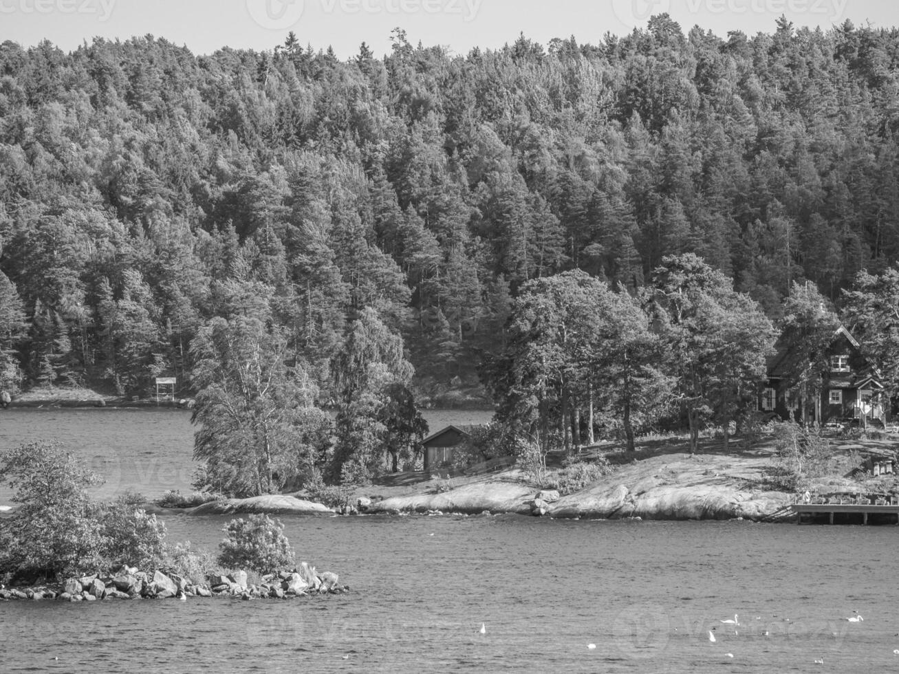 baltic sea in sweden photo