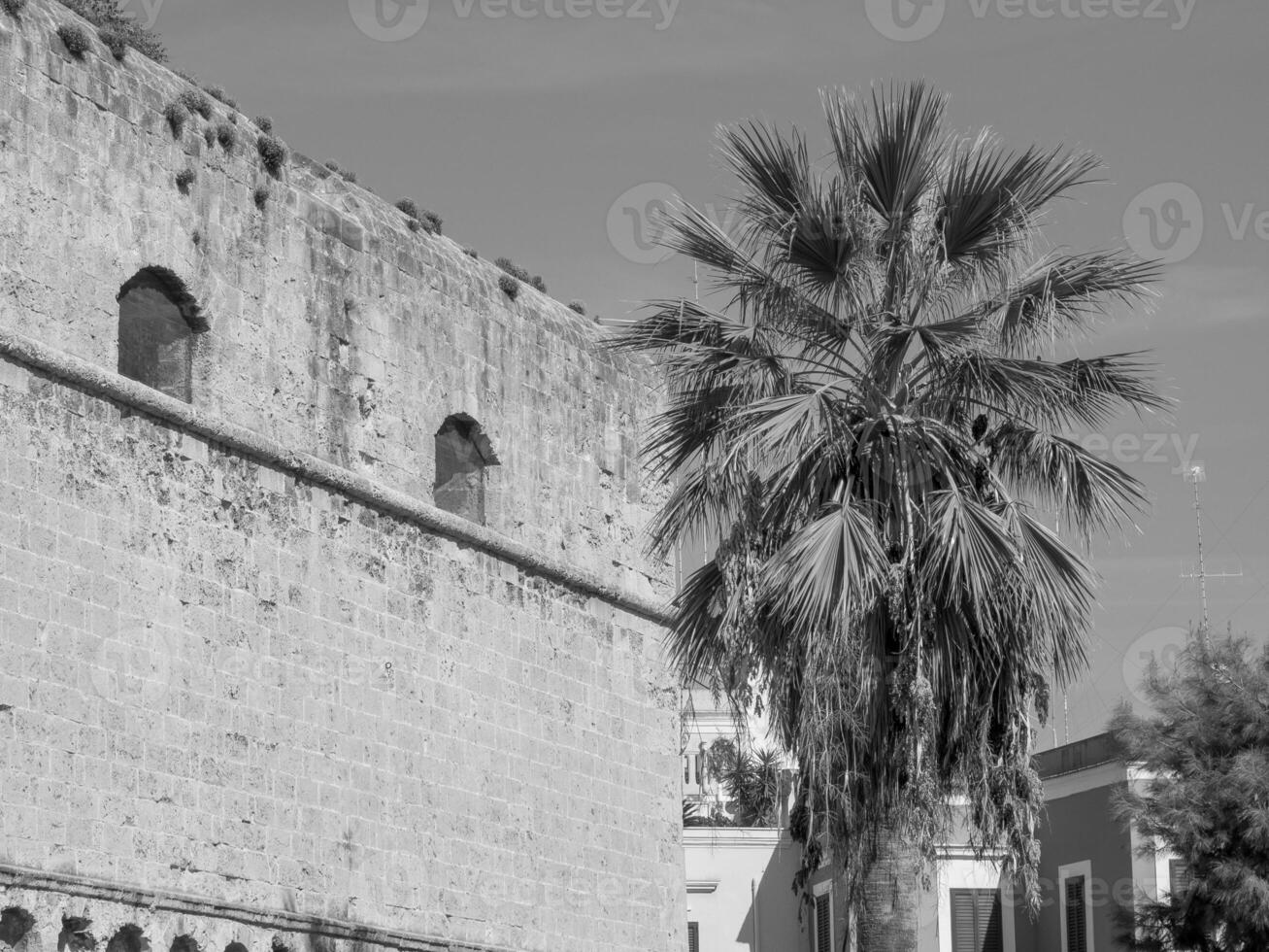 bari in italy photo