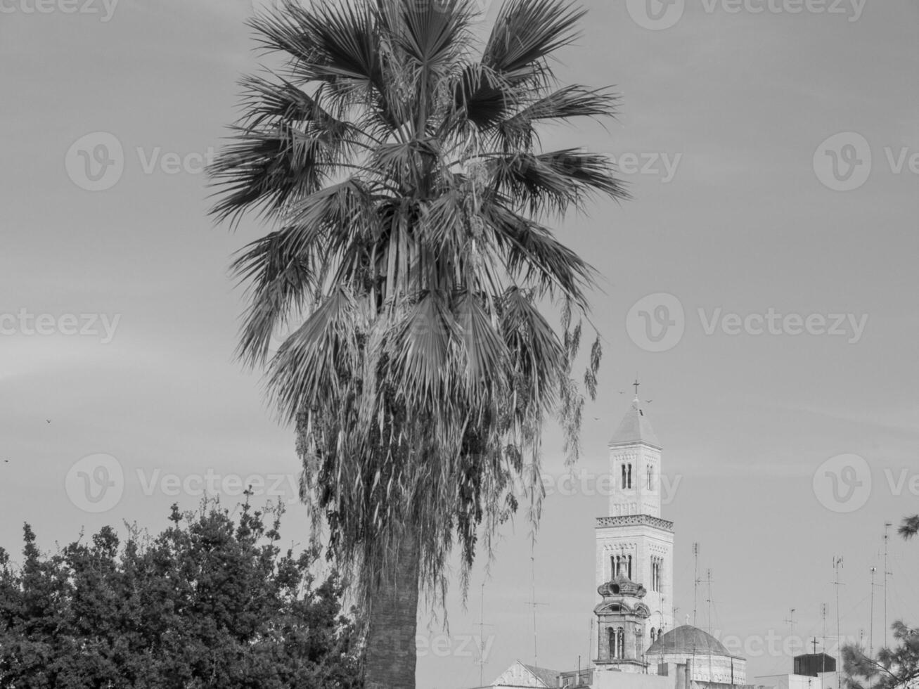 baric city in italy photo