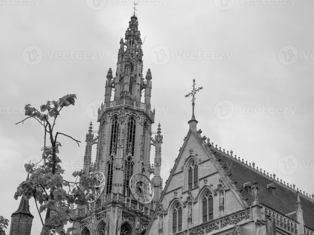 antwerp in belgium photo