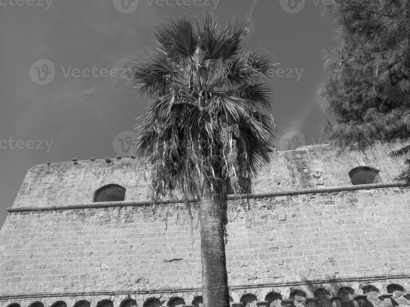 bari in italy photo