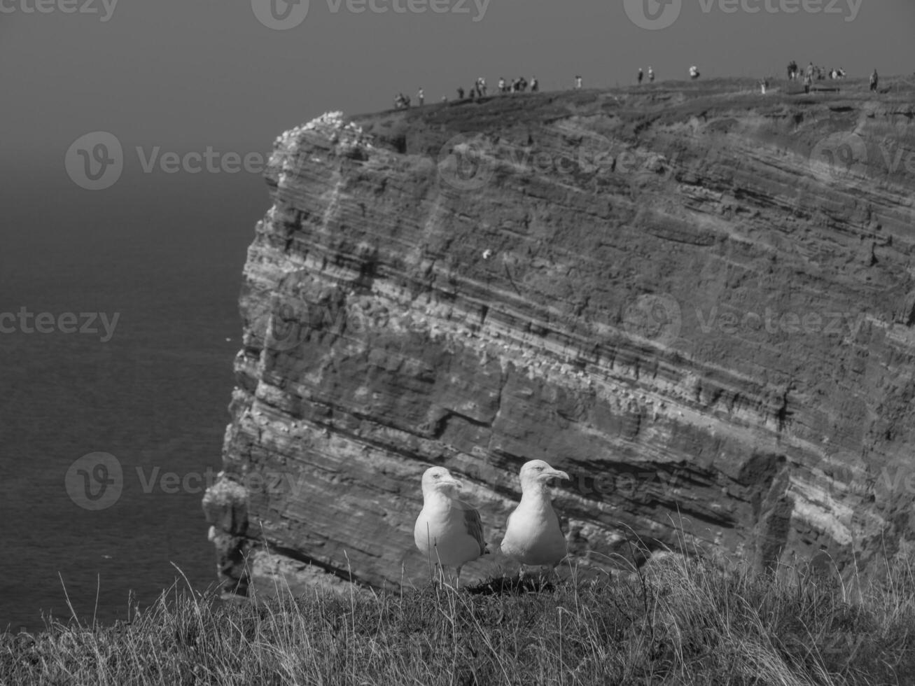 Helgoland island in germany photo