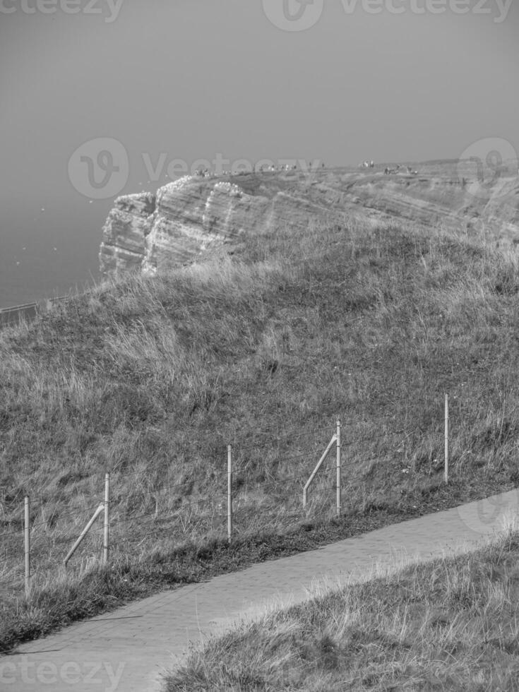 Helgoland island in germany photo