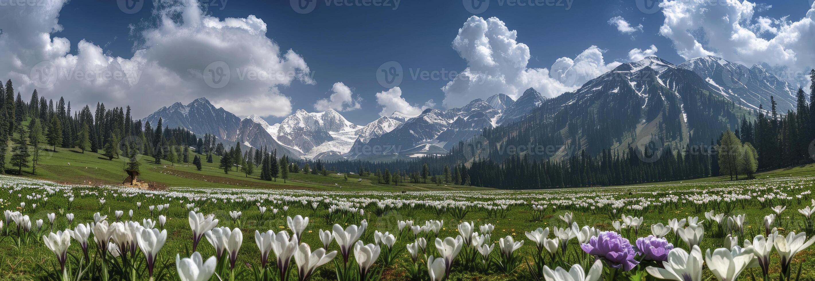 AI generated There is an endless sea of white crocuses blooming on green grassland in front of snowcapped mountains photo