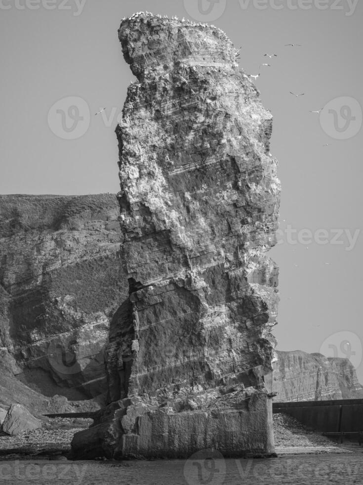 helgoland island germany photo