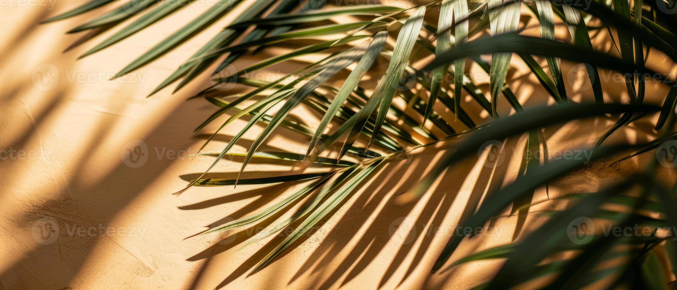 AI generated The interplay of light and shadow from tropical palm leaves crea photo