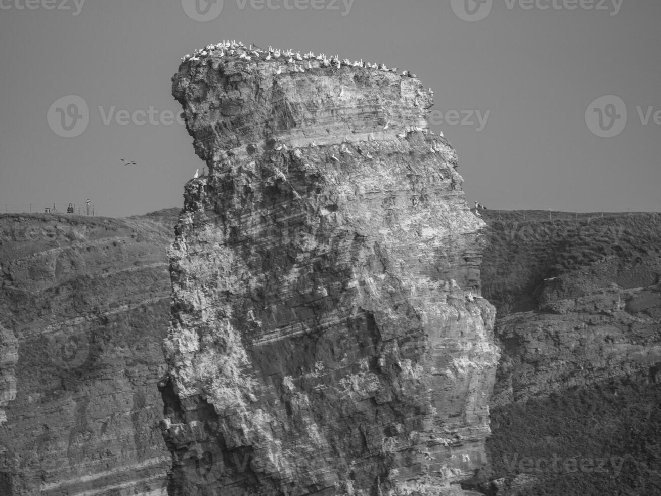 helgoland island germany photo