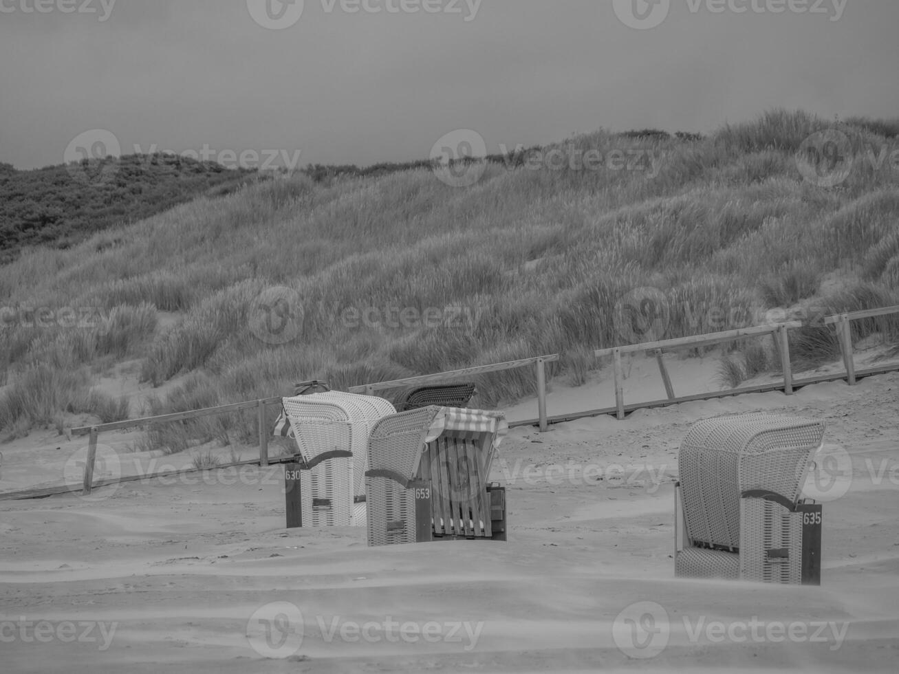 north sea beach photo