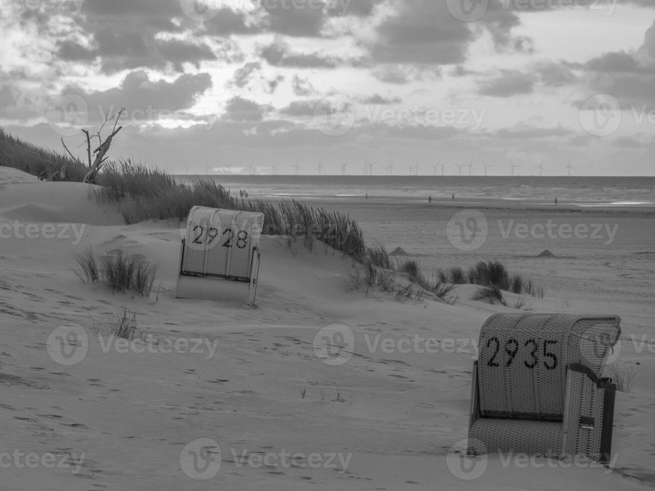 juist in the north sea photo