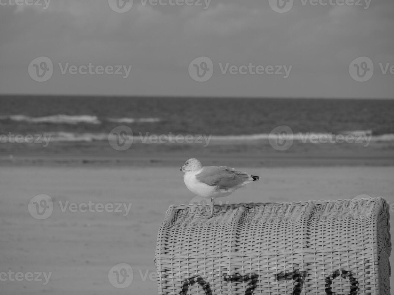 north sea beach photo