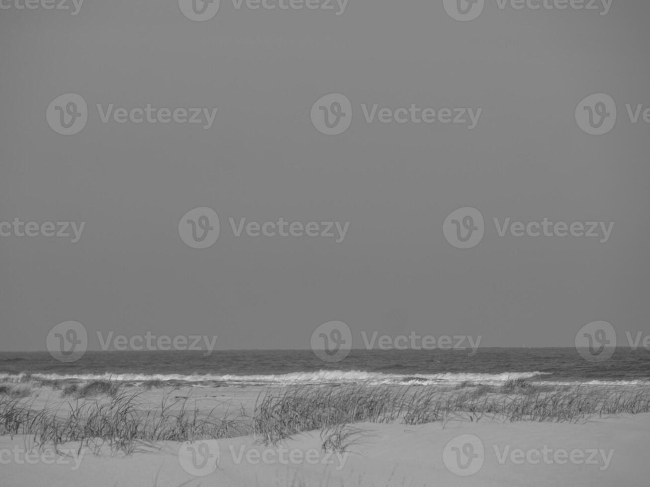 the island of juist photo